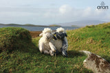Handknit Merino Sheep Teddy R457